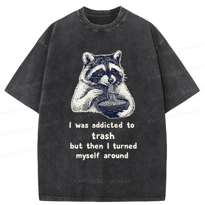 Tokyo-Tiger Raccoon Eating Ramen Japanese Washed T-Shirt