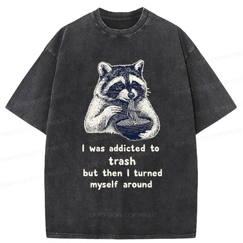 Tokyo-Tiger Raccoon Eating Ramen Japanese Washed T-Shirt