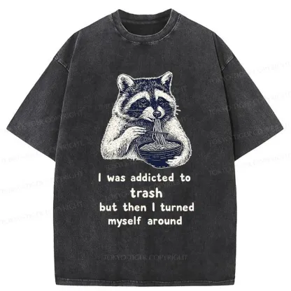Tokyo-Tiger Raccoon Eating Ramen Japanese Washed T-Shirt