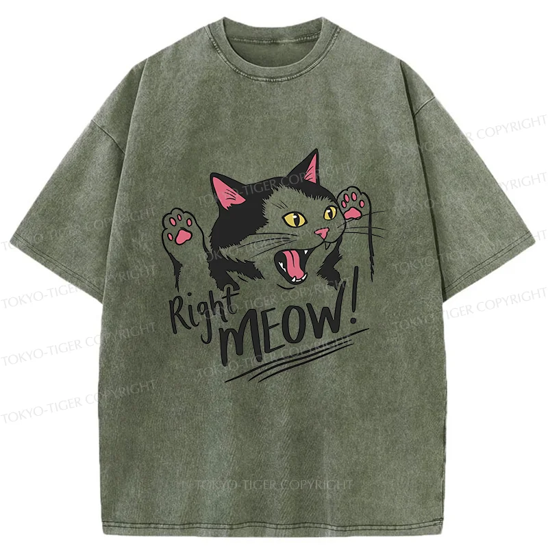 Tokyo-Tiger Right Meow Funny Washed T-Shirt