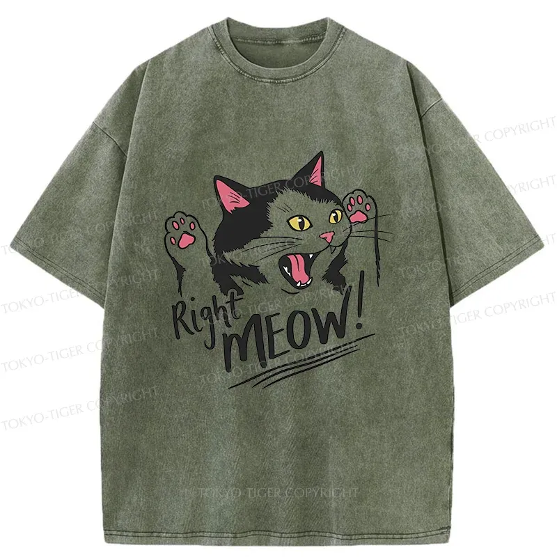 Tokyo-Tiger Right Meow Funny Washed T-Shirt