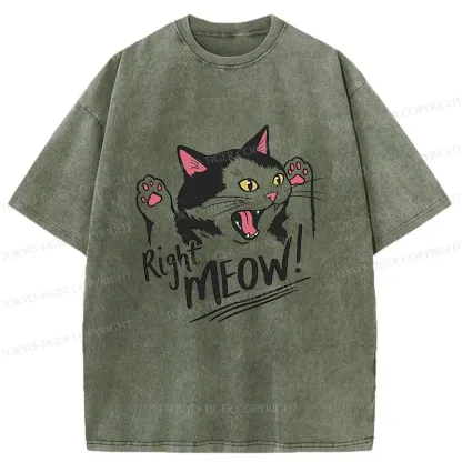 Tokyo-Tiger Right Meow Funny Washed T-Shirt