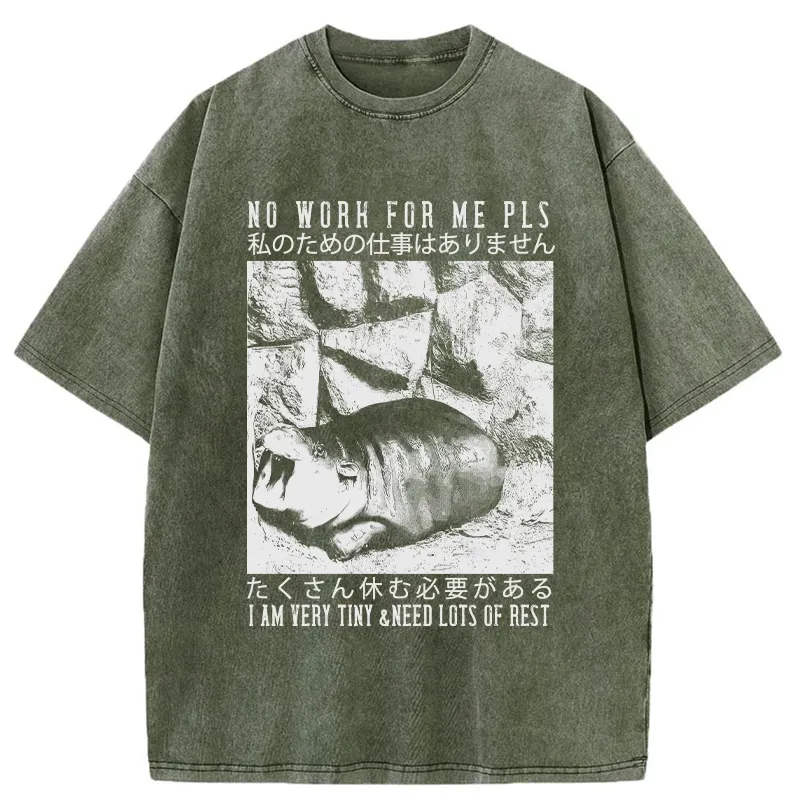 Tokyo-Tiger Funny Moo Deng Needs Lots Of Rest Washed T-Shirt