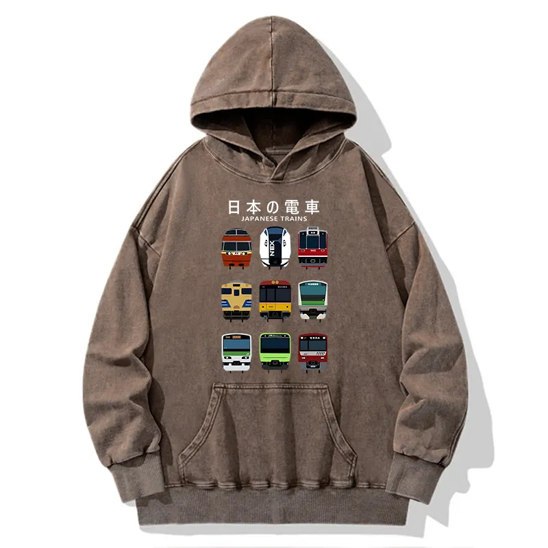 Tokyo-Tiger Japanese Train Collection Washed Hoodie