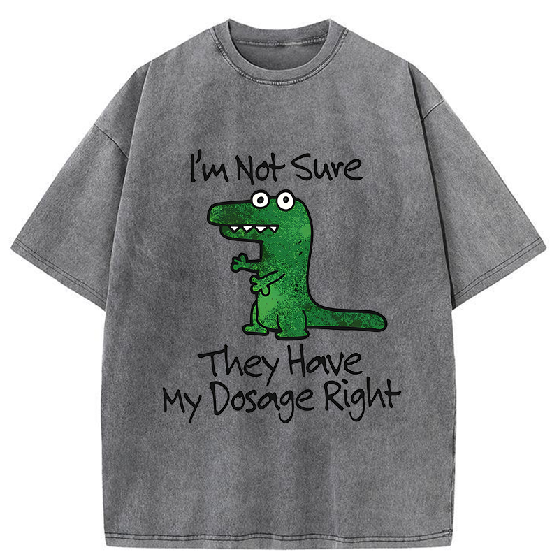 Tokyo-Tiger Dinosaur Meme Sarcastic Ironic Washed T-Shirt