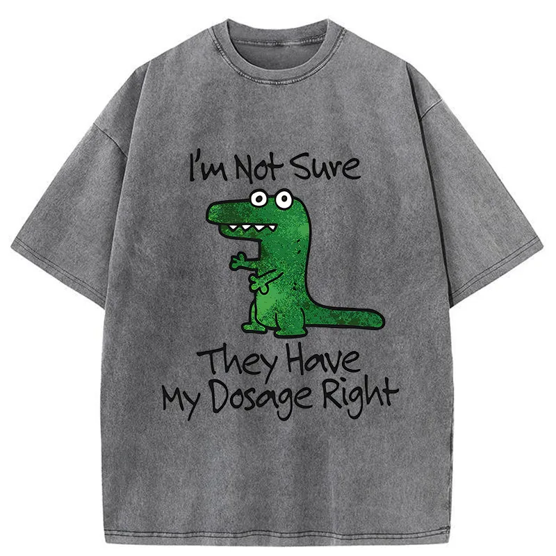 Tokyo-Tiger Dinosaur Meme Sarcastic Ironic Washed T-Shirt