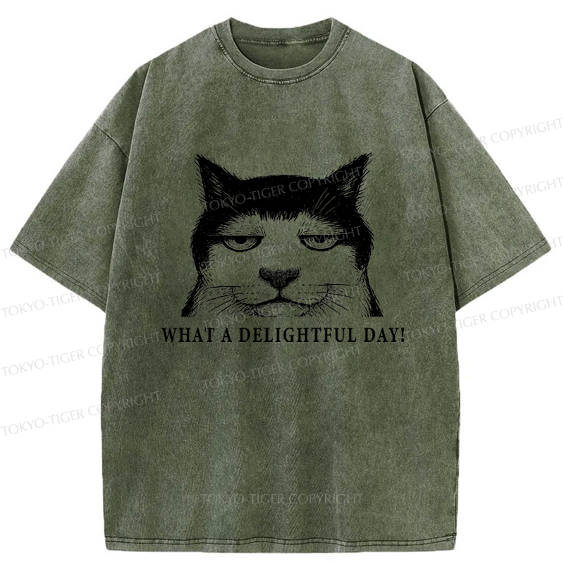 Tokyo-Tiger The World-Weary Cat Washed T-Shirt