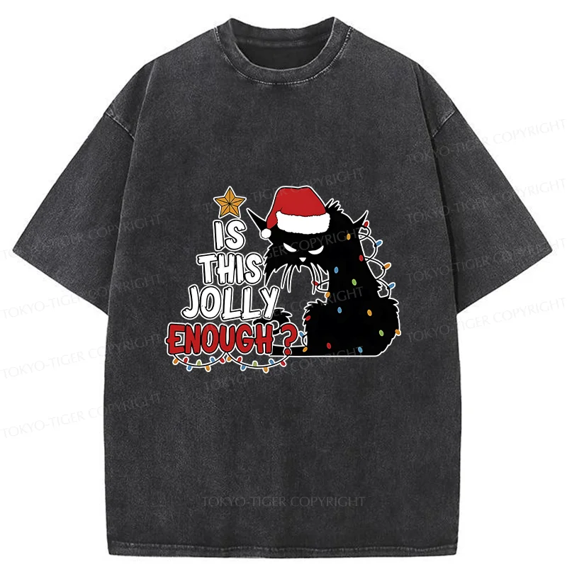 Tokyo-Tiger Grumpy Cat Christmas Washed T-Shirt