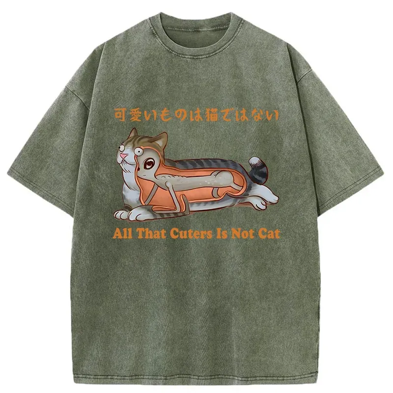 Tokyo-Tiger All That Cuters Is Not Cat Washed T-Shirt