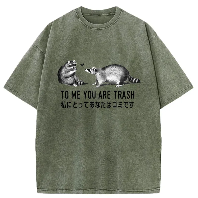 Tokyo-Tiger Raccoon Courting Washed T-Shirt