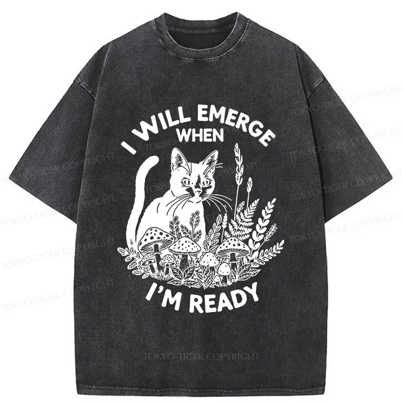 Tokyo-Tiger Cat Ready To Appear Washed T-Shirt