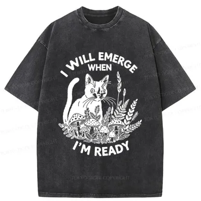 Tokyo-Tiger Cat Ready To Appear Washed T-Shirt