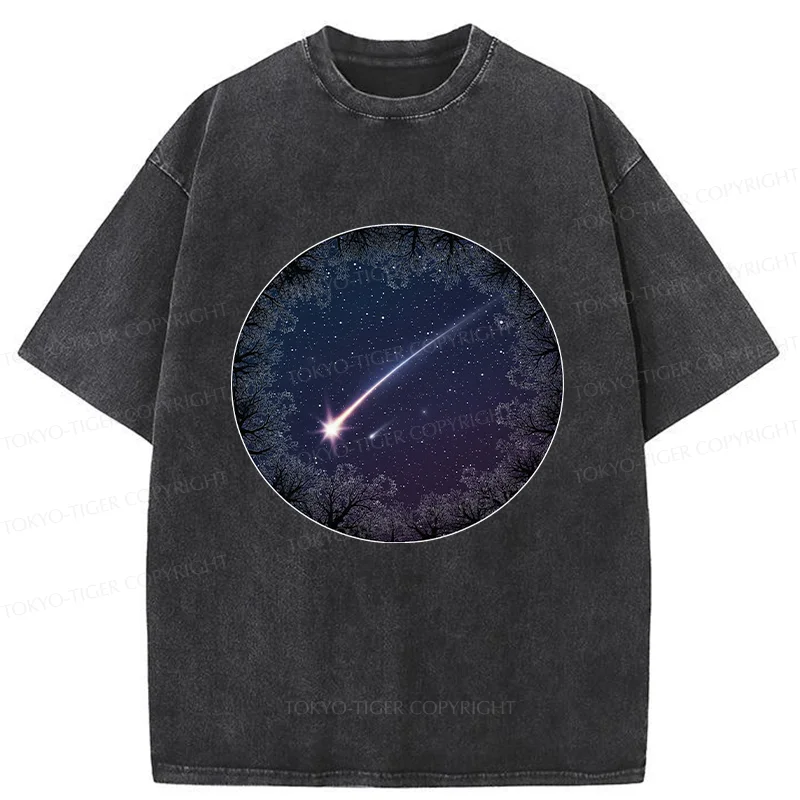 Tokyo-Tiger Beautiful Meteor Washed T-Shirt