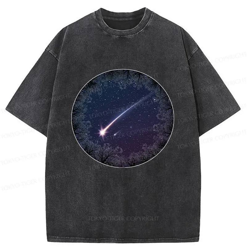 Tokyo-Tiger Beautiful Meteor Washed T-Shirt