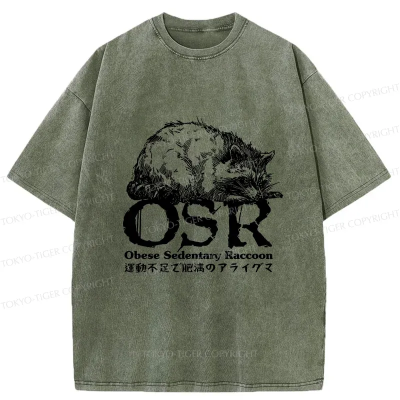 Tokyo-Tiger Fat Raccoon Washed T-Shirt