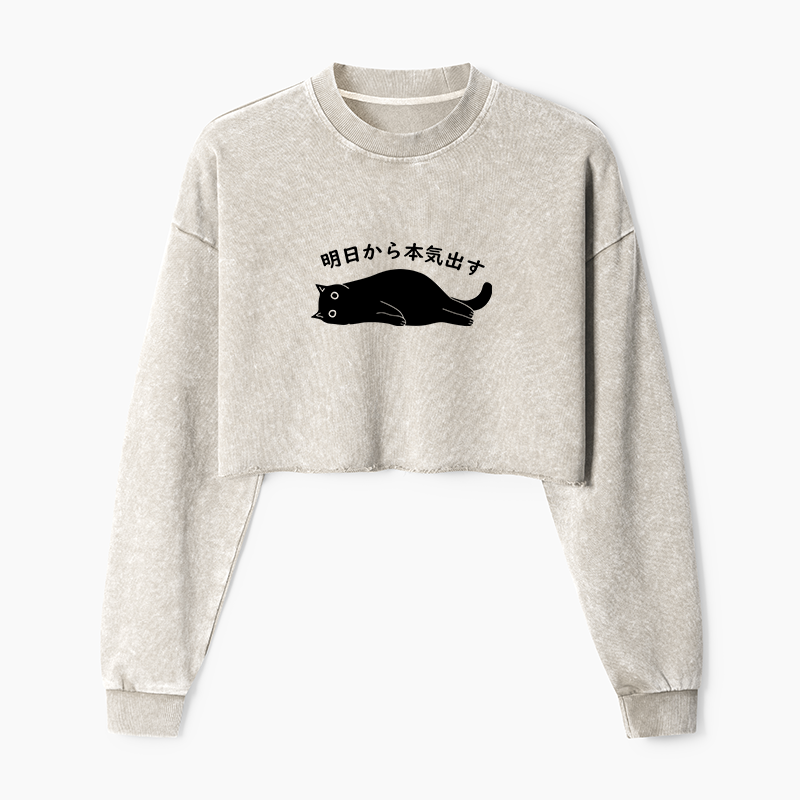 Tokyo-Tiger I'm Going To Get Serious Tomorrow Washed Crop Sweatshirt