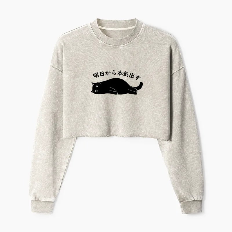 Tokyo-Tiger I'm Going To Get Serious Tomorrow Washed Crop Sweatshirt