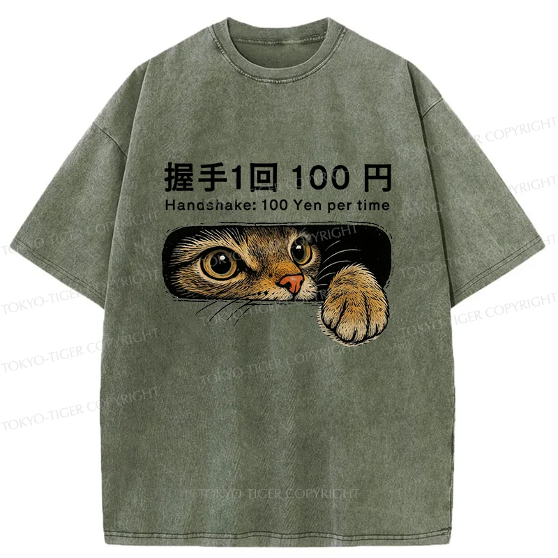 Tokyo-Tiger Shake Hands With Cat For A Fee Washed T-Shirt
