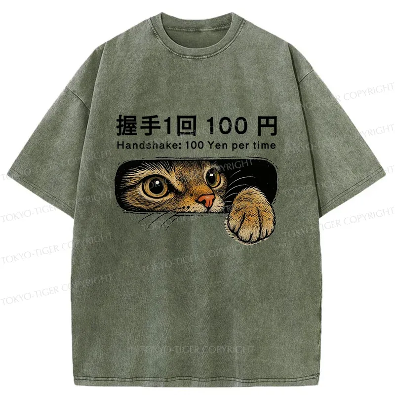 Tokyo-Tiger Shake Hands With Cat For A Fee Washed T-Shirt