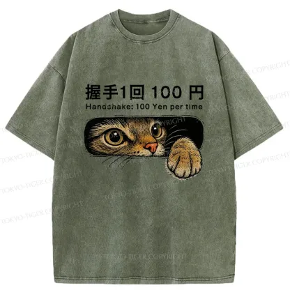 Tokyo-Tiger Shake Hands With Cat For A Fee Washed T-Shirt