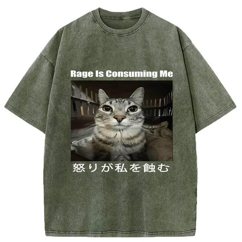Tokyo-Tiger Rage Is Consuming Me Japan Washed T-Shirt