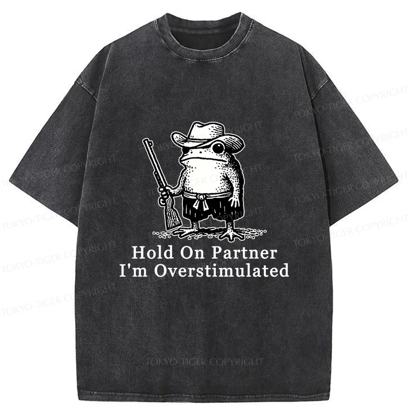 Tokyo-Tiger Handsome Frog Samurai Washed T-Shirt