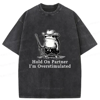 Tokyo-Tiger Handsome Frog Samurai Washed T-Shirt