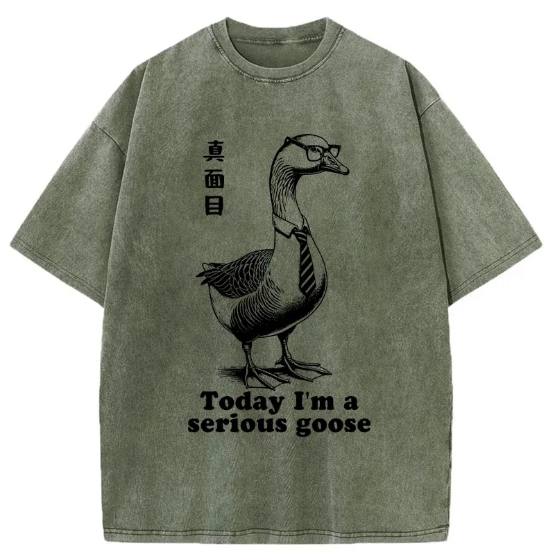 Tokyo-Tiger Serious Goose Washed T-Shirt