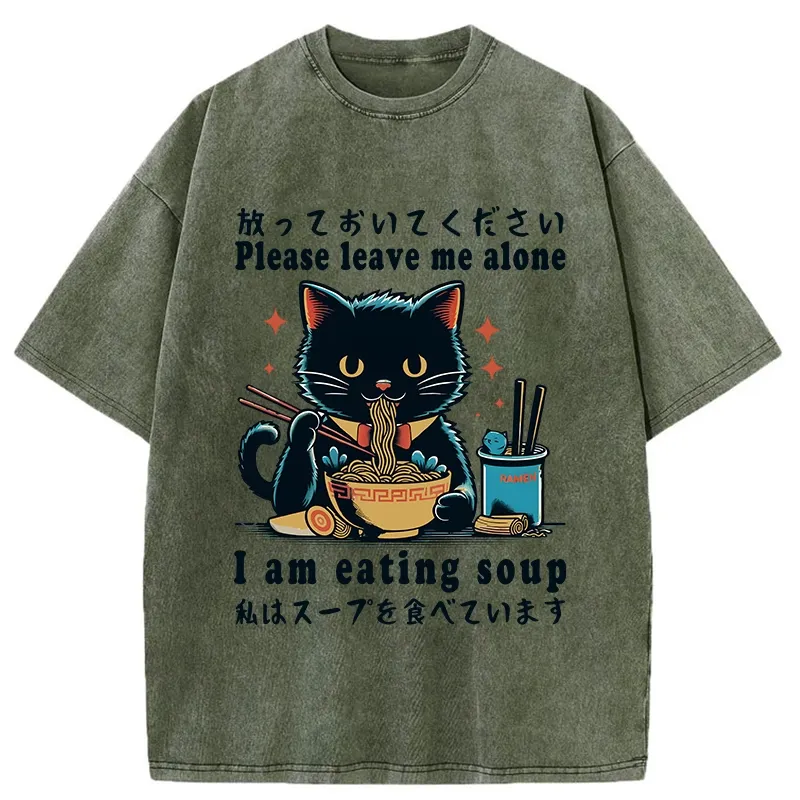 Tokyo-Tiger Cat Enchanted By Ramen Washed T-Shirt