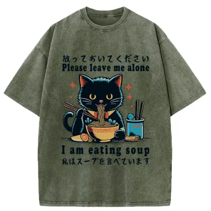 Tokyo-Tiger Cat Enchanted By Ramen Washed T-Shirt