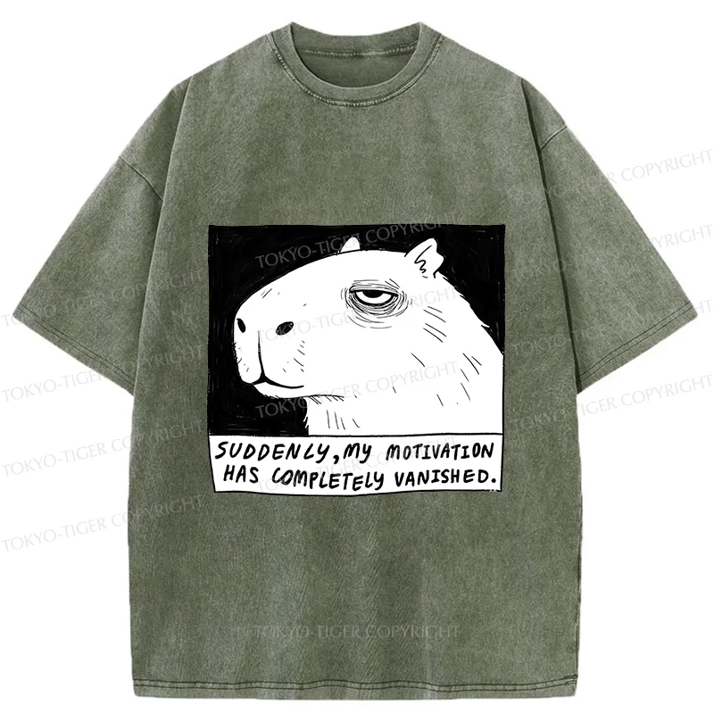 Tokyo-Tiger Power Has Completely Disappeared Washed T-Shirt