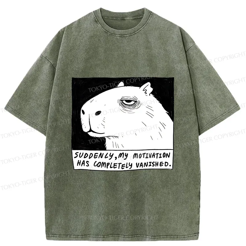 Tokyo-Tiger Power Has Completely Disappeared Washed T-Shirt