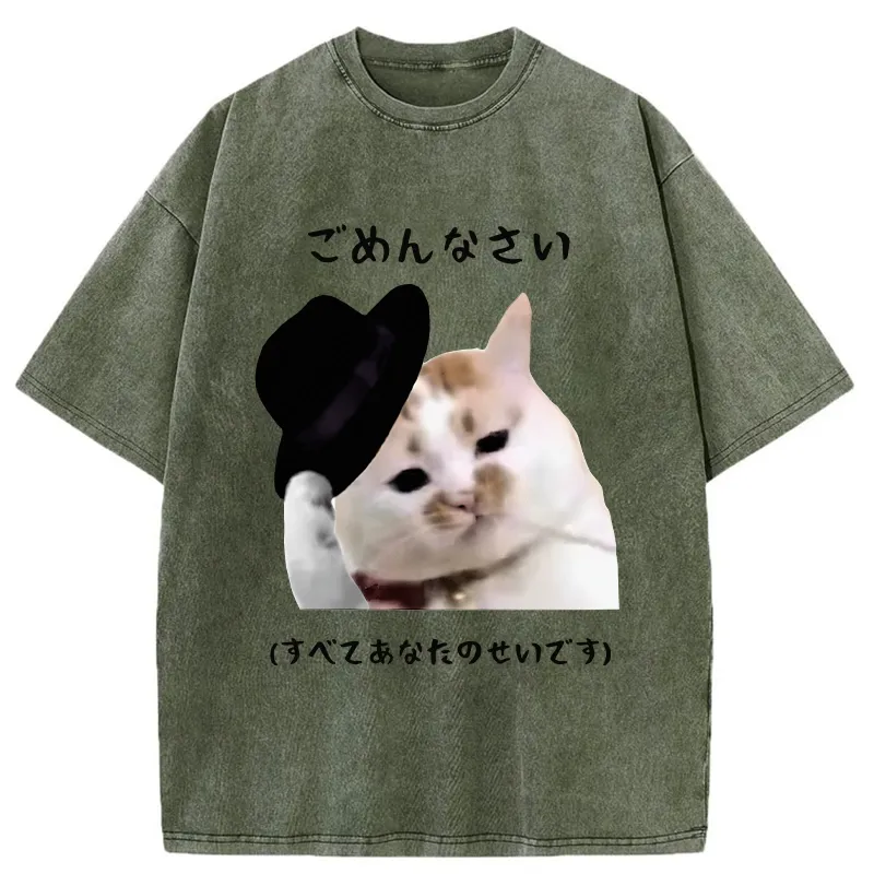 Tokyo-Tiger Sorry It's All Your Fault Washed T-Shirt Sale