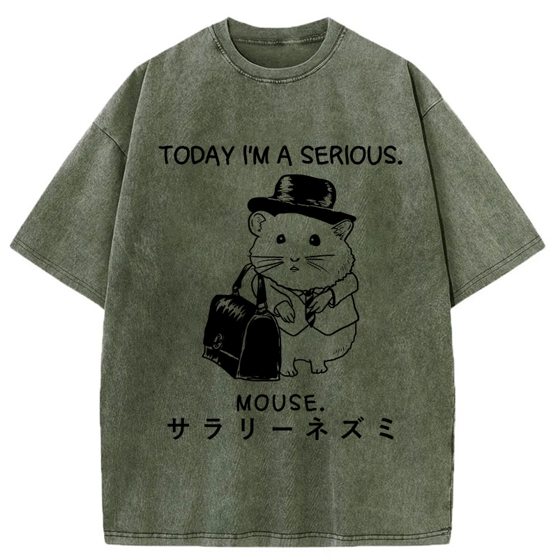 Tokyo-Tiger Today I'm A Serious Washed T-Shirt