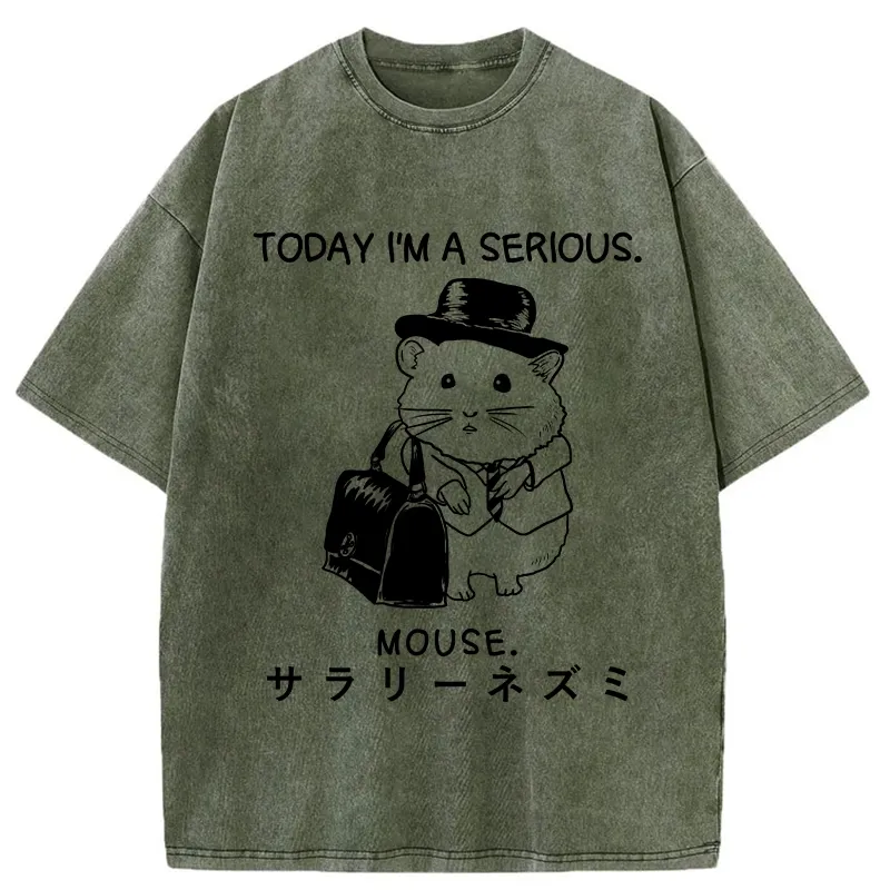 Tokyo-Tiger Today I'm A Serious Washed T-Shirt