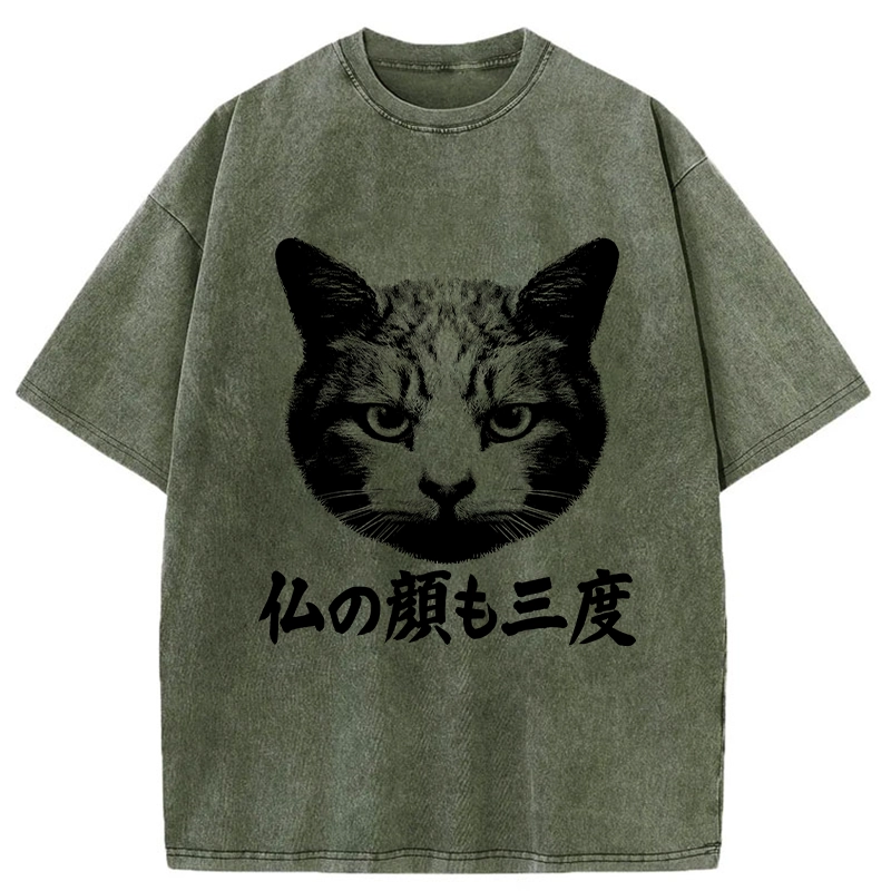 Tokyo-Tiger Cat Hits After Three Messes Washed T-Shirt