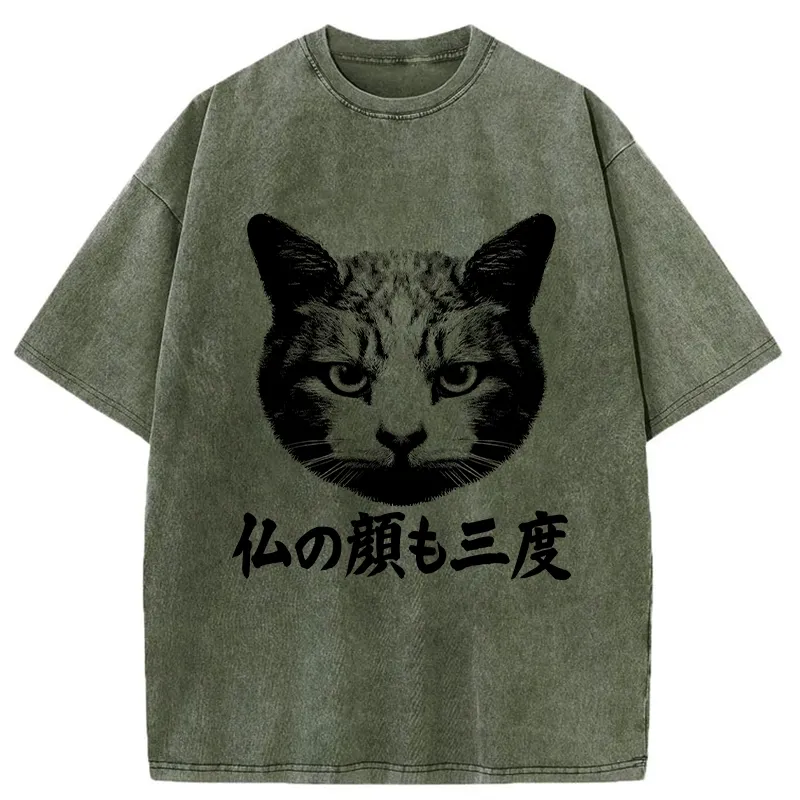 Tokyo-Tiger Cat Hits After Three Messes Washed T-Shirt