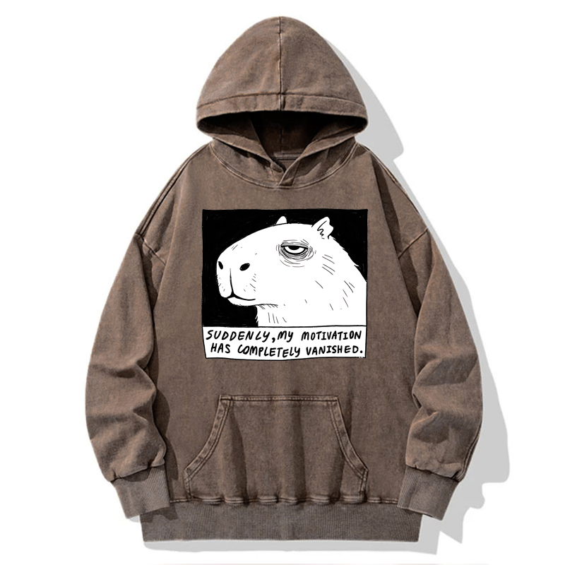 Tokyo-Tiger Power Has Completely Disappeared Washed Hoodie