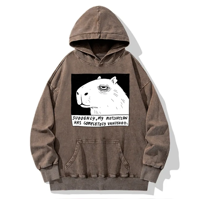 Tokyo-Tiger Power Has Completely Disappeared Washed Hoodie