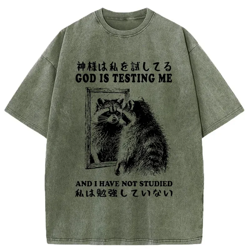 Tokyo-Tiger Raccoon Not Studied Washed T-Shirt