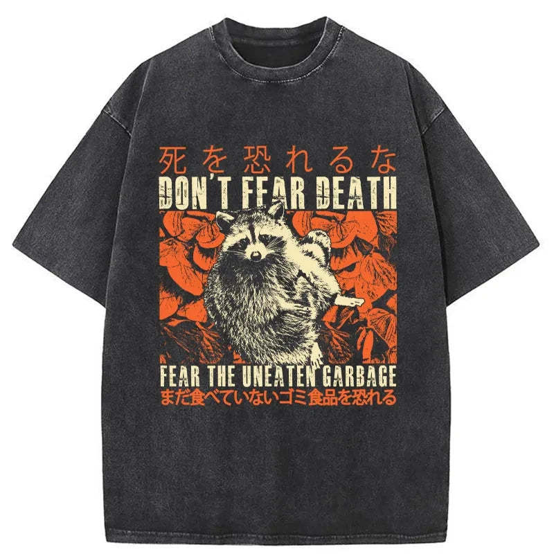 Tokyo-Tiger Timid Raccoon Japanese Washed T-Shirt