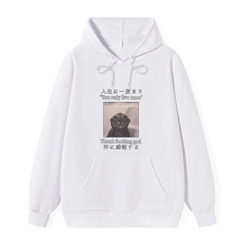 Tokyo-Tiger Funny Melancholy Cat Classic Hoodie