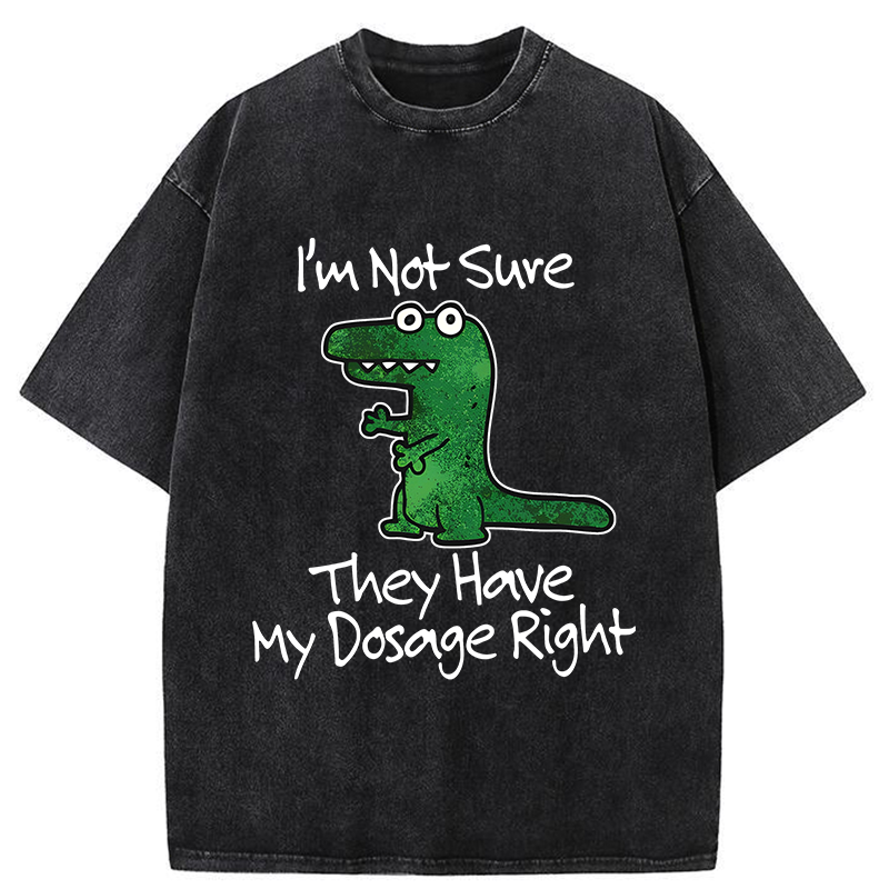 Tokyo-Tiger Dinosaur Meme Sarcastic Ironic Washed T-Shirt