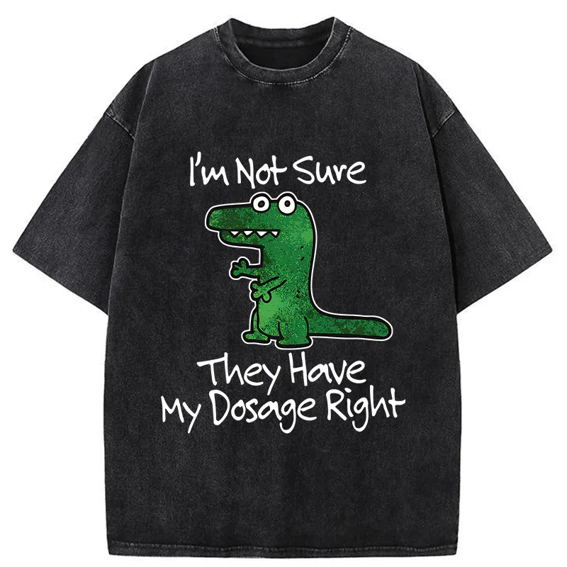 Tokyo-Tiger Dinosaur Meme Sarcastic Ironic Washed T-Shirt