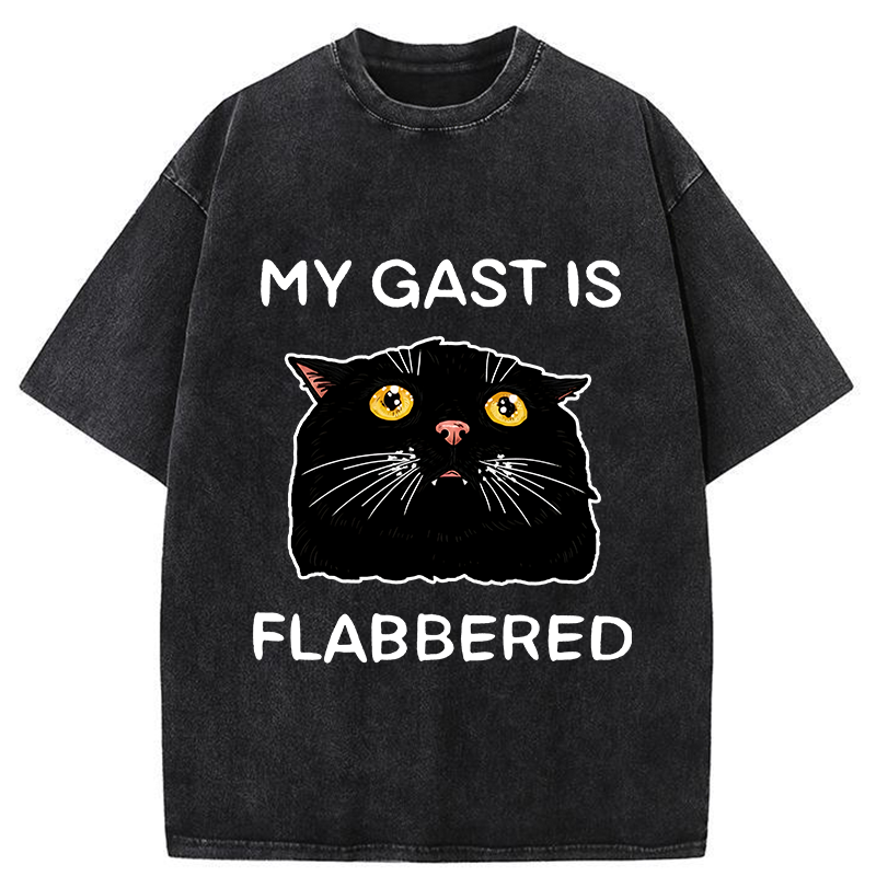 Tokyo-Tiger Sarcastic Cat Meme Washed T-Shirt