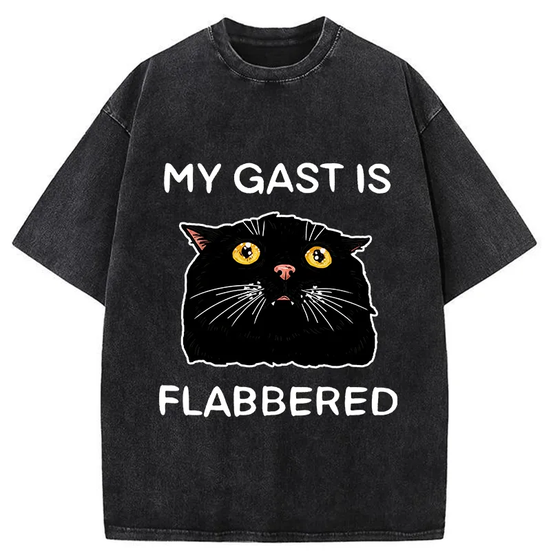 Tokyo-Tiger Sarcastic Cat Meme Washed T-Shirt