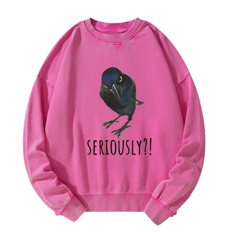 Tokyo-Tiger Raven's Question Washed Sweatshirt