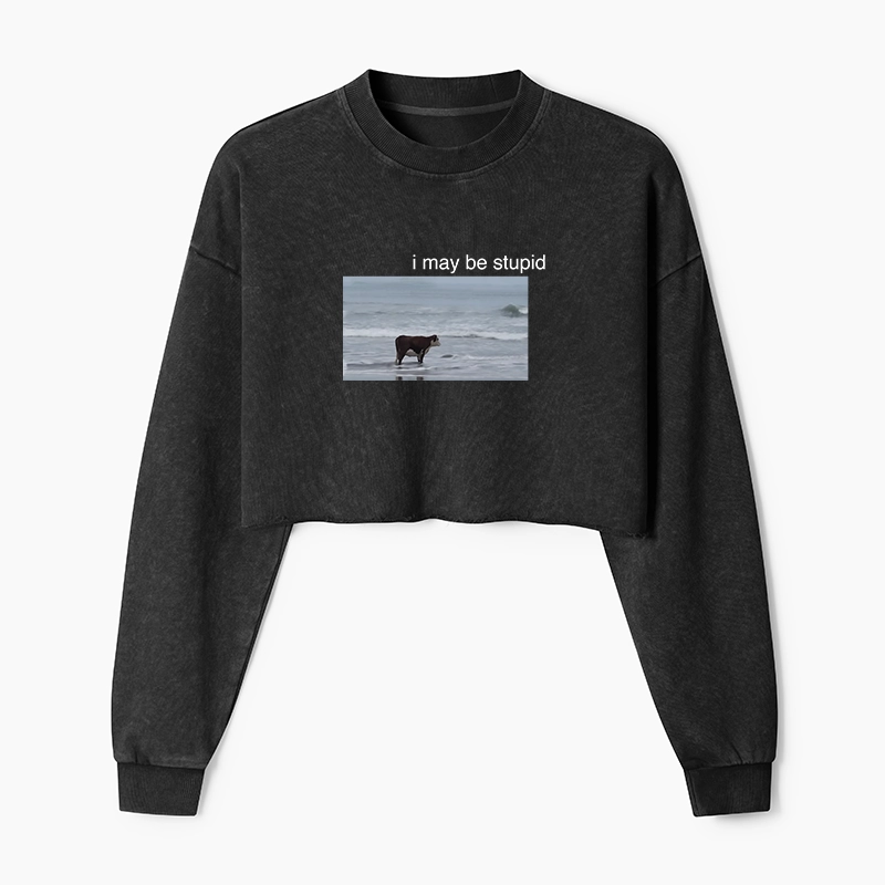Tokyo-Tiger Foolish Cow Washed Crop Sweatshirt