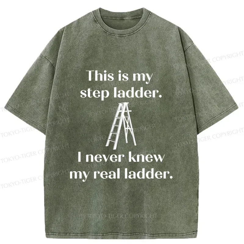 Tokyo-Tiger A Real Ladder Funny Washed T-Shirt