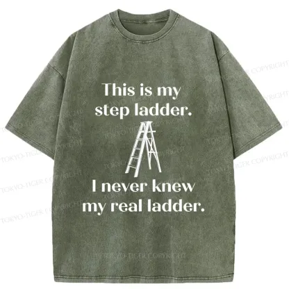 Tokyo-Tiger A Real Ladder Funny Washed T-Shirt